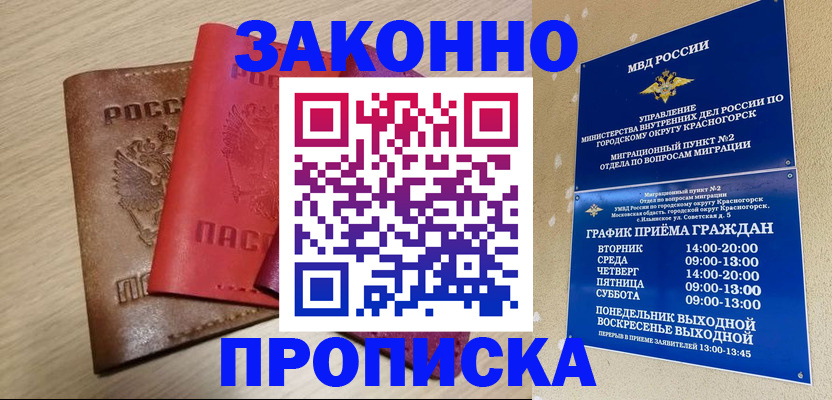 регистрация в Камчатской области